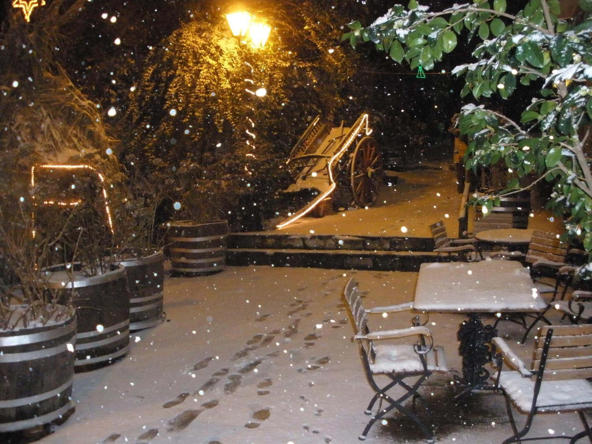 Pelias Hotel Portariá Dış mekan fotoğraf