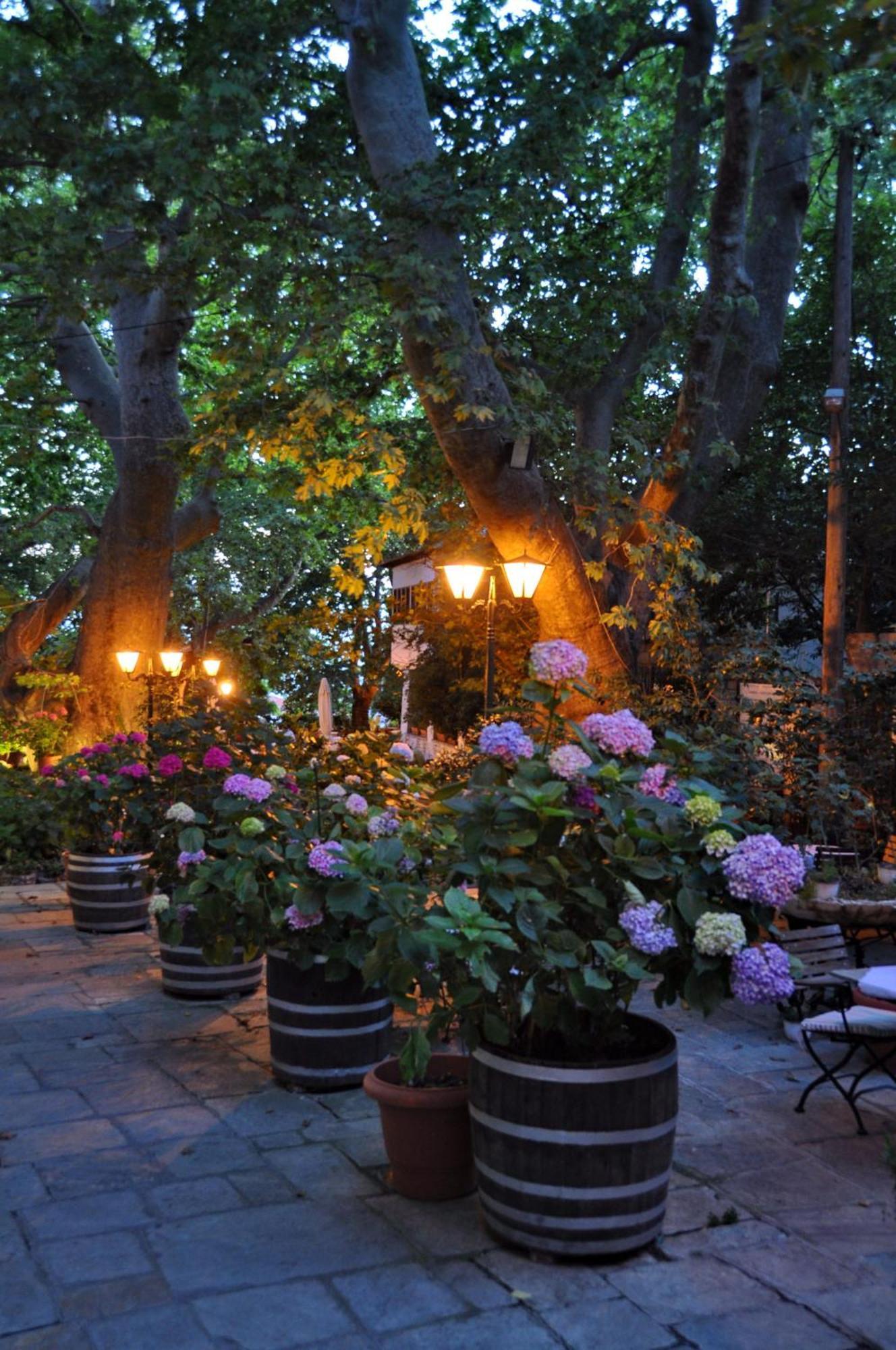 Pelias Hotel Portariá Dış mekan fotoğraf