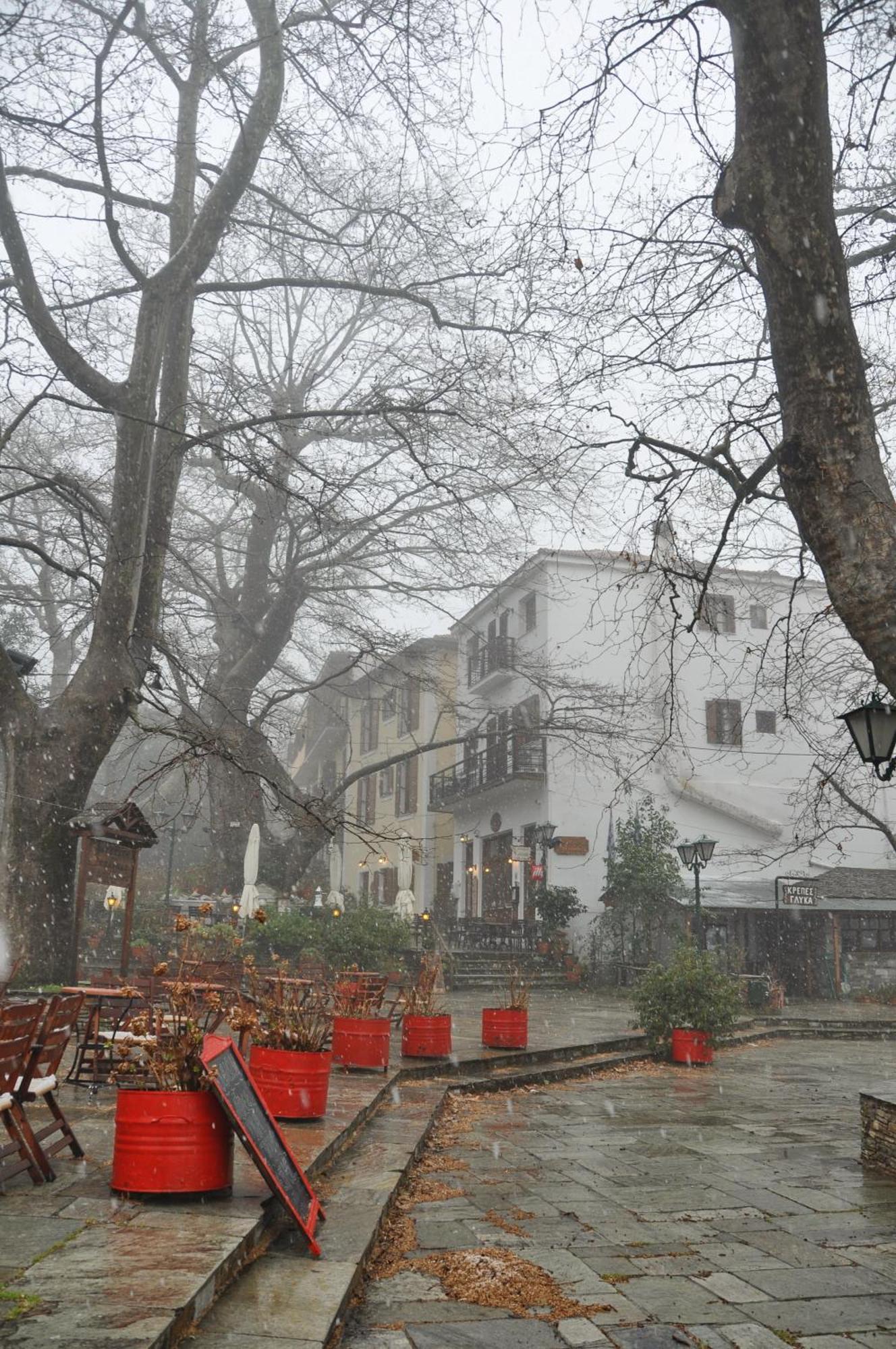 Pelias Hotel Portariá Dış mekan fotoğraf